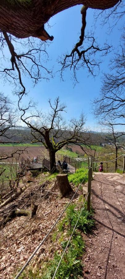 Apartament Froschkoenig Mit Teichblick Trendelburg Zewnętrze zdjęcie