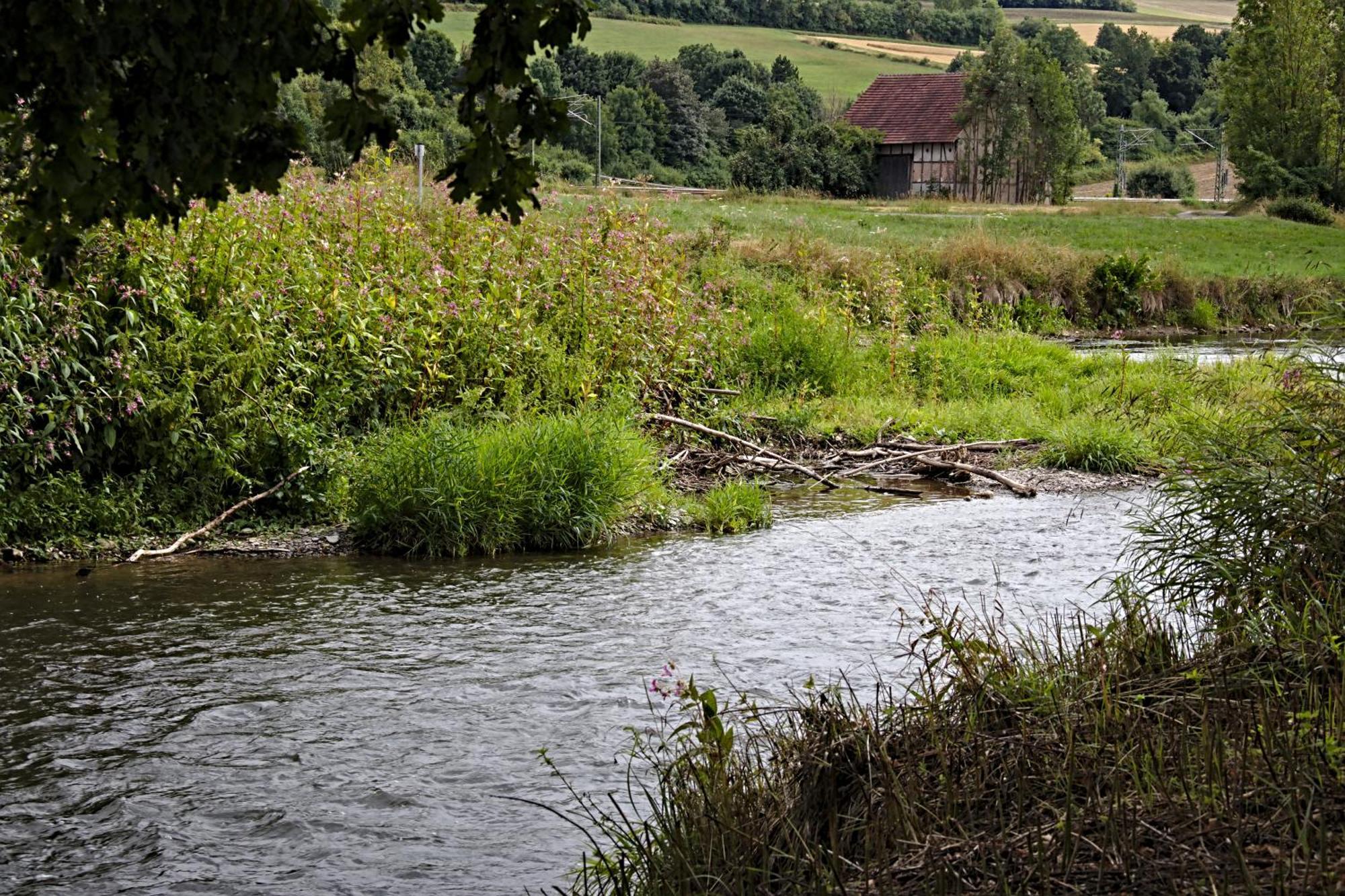Apartament Froschkoenig Mit Teichblick Trendelburg Zewnętrze zdjęcie